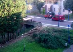 Tala criminal en Fanderia