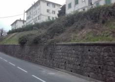 Césped totalmente abandonado