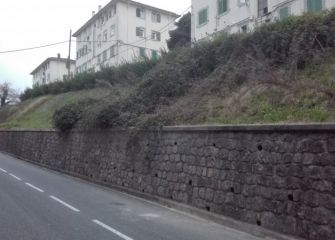 Césped totalmente abandonado