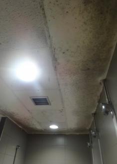 Las duchas de las piscinas del Paco Yoldi