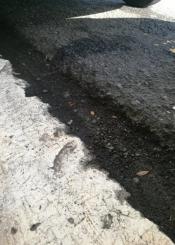 Mal asfaltado en el Paseo Salamanca 