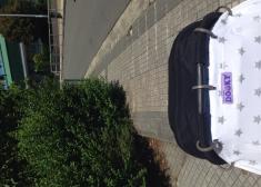 Donde están los jardineros???