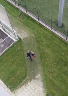 Trabajo a medias de los jardineros