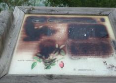 Paneles informativos pintados y rotos (Urkulu)