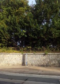 Parada  de autobuses sin  marquesina  en Paseo  de Aiete, 7