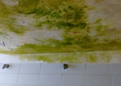 Playa de Ondarreta, abandono total de las cabinas....mas que piedras...