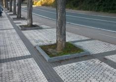 Altura bordillos árboles Paseo Urumea