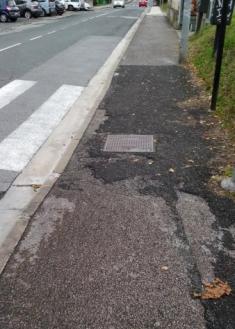 Paso cebra Paseo Herrera