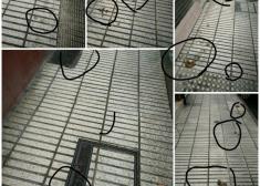 Suciedad a causa de los dueños de los perros