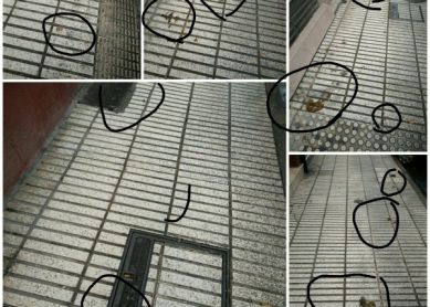 Suciedad a causa de los dueños de los perros