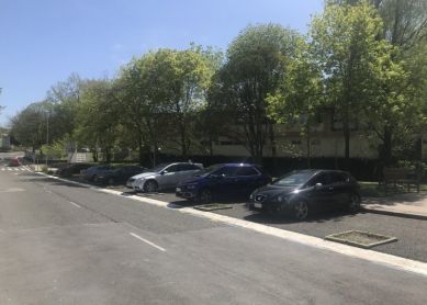 Sin árboles en las universidades