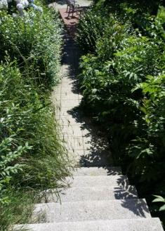 La selva de Trintxerpe