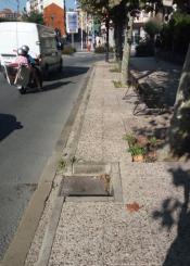 Hueco de alcantarilla trampa