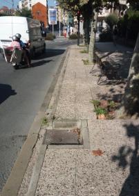 Hueco de alcantarilla trampa