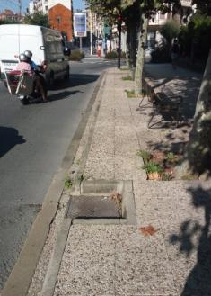 Hueco de alcantarilla trampa