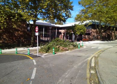 Árbol cortado a la puerta del colegio 