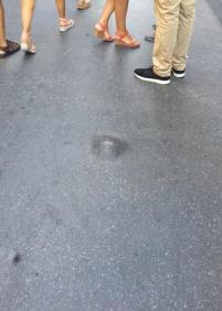 Baches en Peña y Goñi