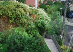 Escaleras intransitables