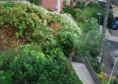 Escaleras intransitables