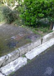 Camino en mal estado