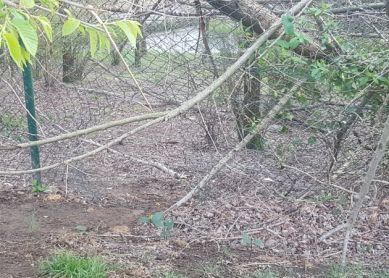 Parque Otxanda, Munto (Donostia)