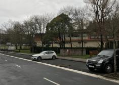 Alcorques sin árboles en Universidades