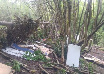 Basura en el bosque