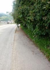 Andaremos por la carretera