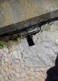 Agujero peligroso en la plataforma superir del Pico del Loro Dirección: Parque del Palacio Miramar 18 Kontxa Pasealekua, 20007 