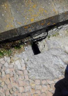 Agujero peligroso en la plataforma superir del Pico del Loro Dirección: Parque del Palacio Miramar 18 Kontxa Pasealekua, 20007 