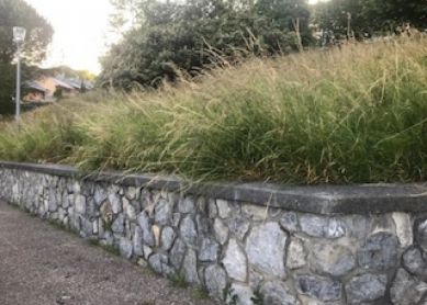 Donostia descuida sus jardines