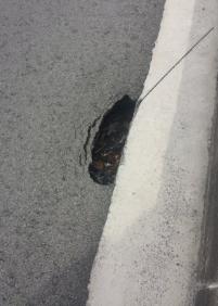 Agujero en asfalto, peligro de accidente