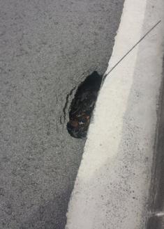 Agujero en asfalto, peligro de accidente