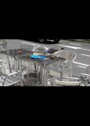 Gaviota comiendo pizza