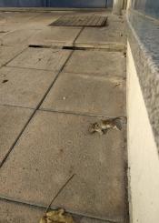 rompe-tobillos y ratas