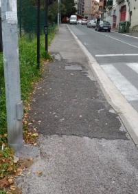 PASO CEBRA PASEO HERRERA