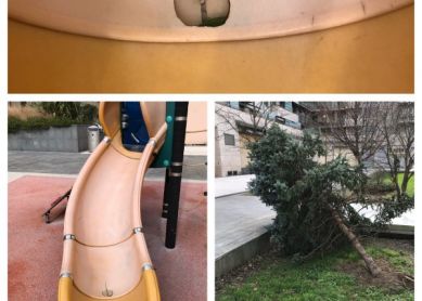 Arreglo en Plaza Santiago en Riberas