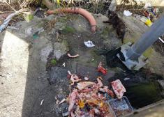 RESIDUOS EN MONTESKU