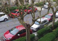 Cuarentena selectiva