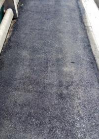 Acera en el Alto de Errondo