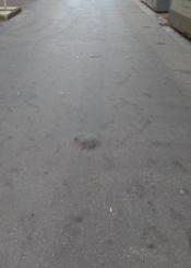 Baches en Peña y Goñi