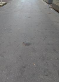 Baches en Peña y Goñi