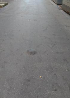 Baches en Peña y Goñi