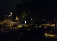 ¿Cuando van a podar estos árboles?