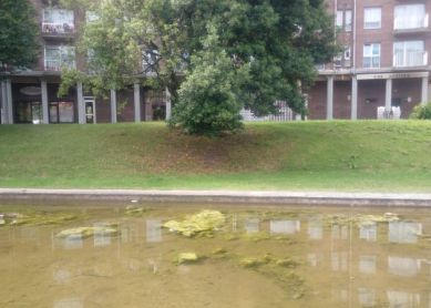 Suciedad en el estanque de la Plaza Bernart Etxepare de Intxaurrondo