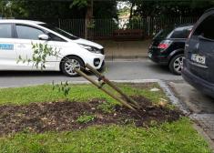 A la tercera será "la vencida"