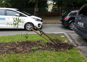 A la tercera será "la vencida"