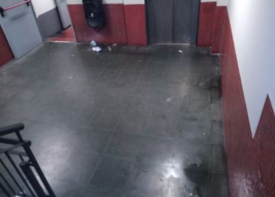 Vergonzoso