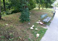 Basura y más basura.