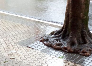 Caidas y tropezones 